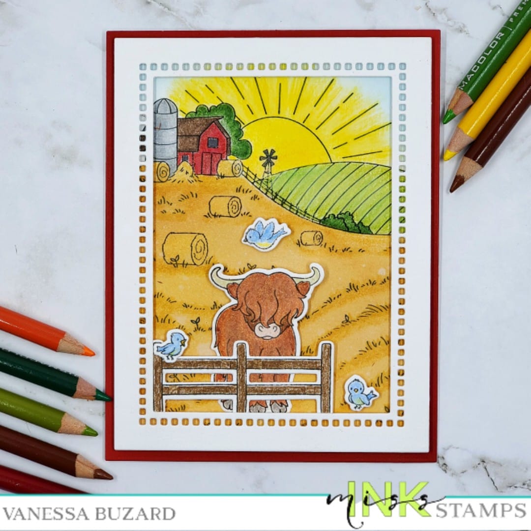Highland Cows