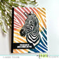 Zebra Stripes