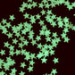 Glow in the Dark Stars